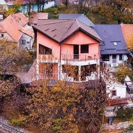 Tampa * Brasov