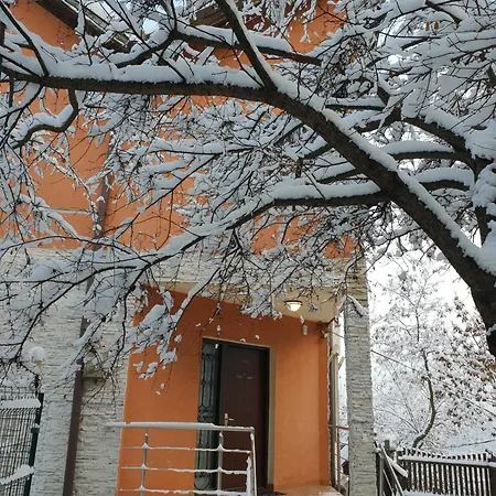 Tampa * Brasov